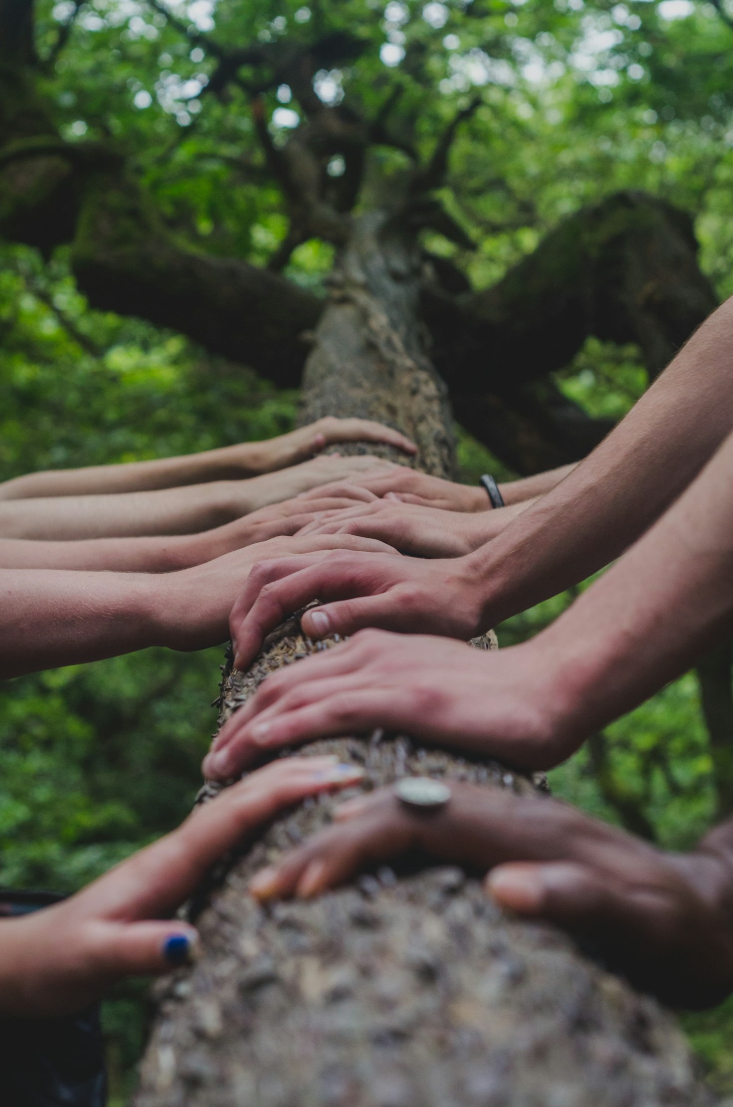 10 manieren om harmonieus samen te leven